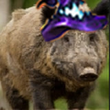 Voltariux avatar